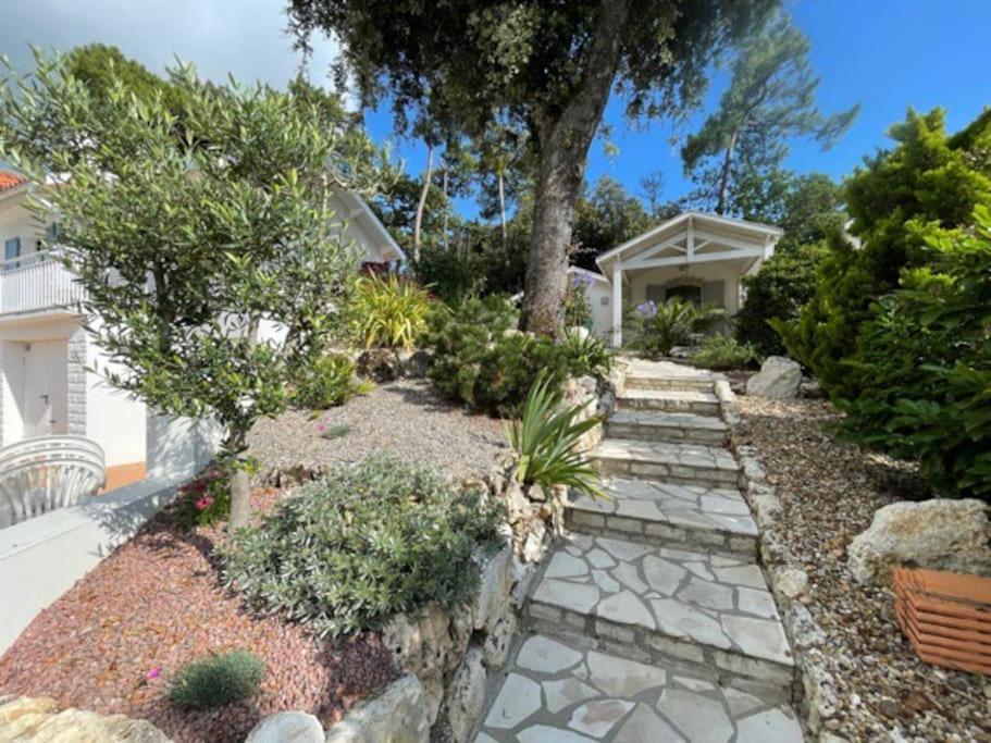 Adorable Petite Maison A 400M De La Mer Βίλα Saint-Georges-de-Didonne Εξωτερικό φωτογραφία